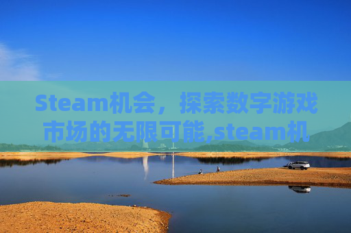 Steam机会，探索数字游戏市场的无限可能,steam机制