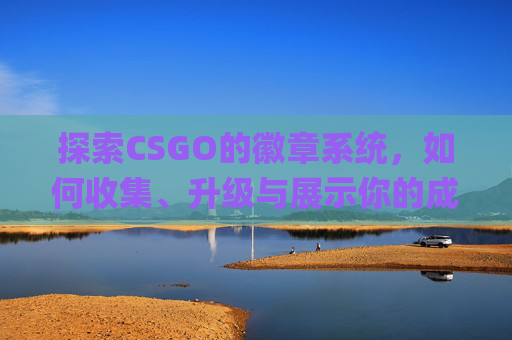 探索CSGO的徽章系统，如何收集、升级与展示你的成就,csgo徽章排列顺序
