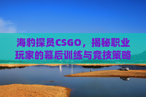 海豹探员CSGO，揭秘职业玩家的幕后训练与竞技策略,csgo海豹突击队探员
