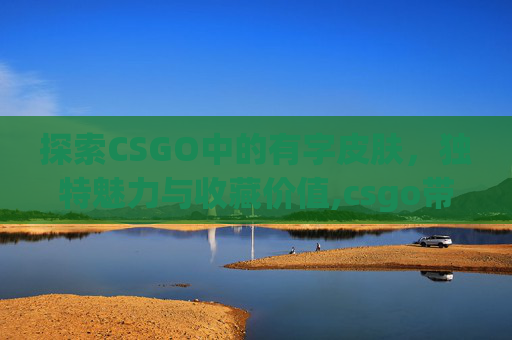 探索CSGO中的有字皮肤，独特魅力与收藏价值,csgo带字的皮肤
