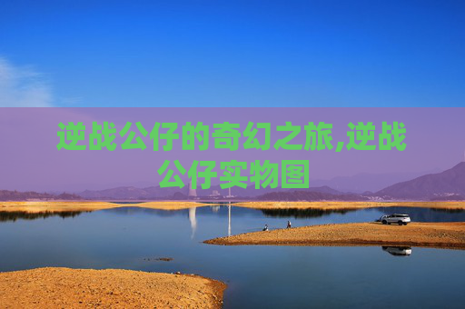 逆战公仔的奇幻之旅,逆战公仔实物图