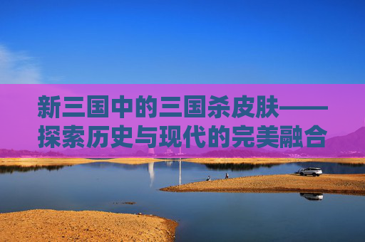 新三国中的三国杀皮肤——探索历史与现代的完美融合,三国杀这个皮肤出自新三国吗