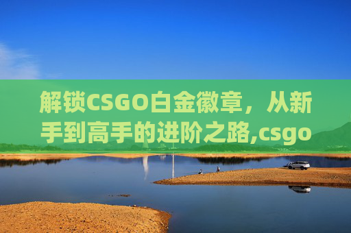 解锁CSGO白金徽章，从新手到高手的进阶之路,csgo白金版