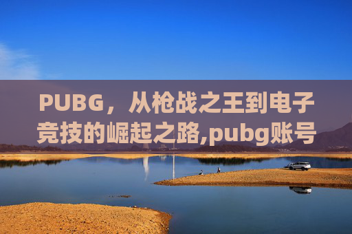 PUBG，从枪战之王到电子竞技的崛起之路,pubg账号交易平台