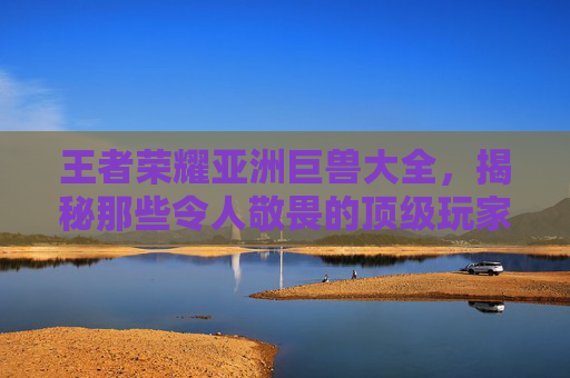 王者荣耀亚洲巨兽大全，揭秘那些令人敬畏的顶级玩家,王者荣耀亚洲巨兽大全图鉴