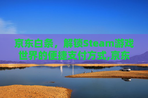 京东白条，解锁Steam游戏世界的便捷支付方式,京东白条能买火车票吗
