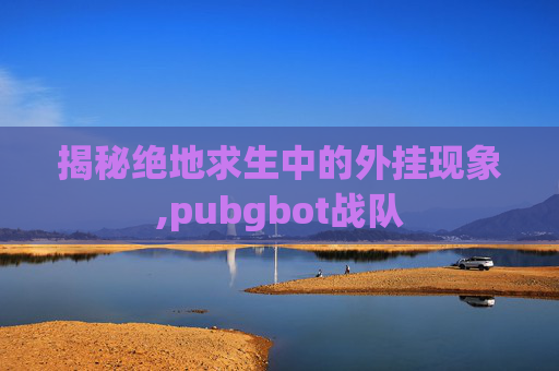 揭秘绝地求生中的外挂现象,pubgbot战队