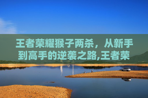 王者荣耀猴子两杀，从新手到高手的逆袭之路,王者荣耀猴子两棍秒敲