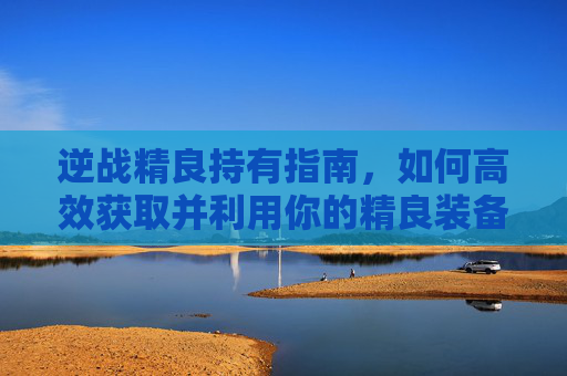 逆战精良持有指南，如何高效获取并利用你的精良装备,逆战精良全部有了再打要多少