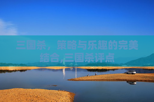 三国杀，策略与乐趣的完美结合,三国杀评点