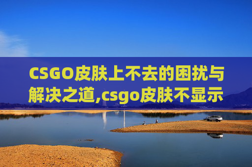 CSGO皮肤上不去的困扰与解决之道,csgo皮肤不显示怎么办