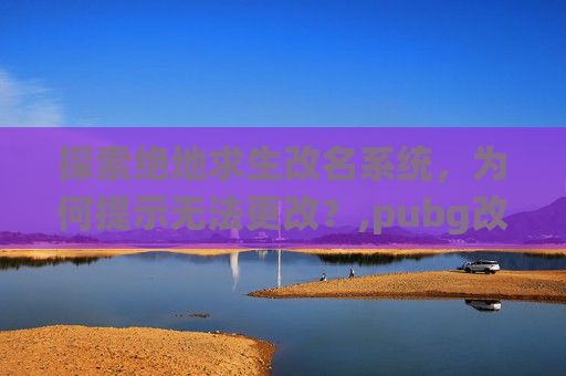 探索绝地求生改名系统，为何提示无法更改？,pubg改名字禁止使用