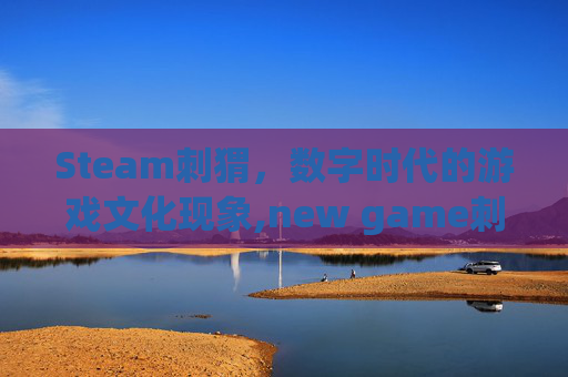Steam刺猬，数字时代的游戏文化现象,new game刺猬