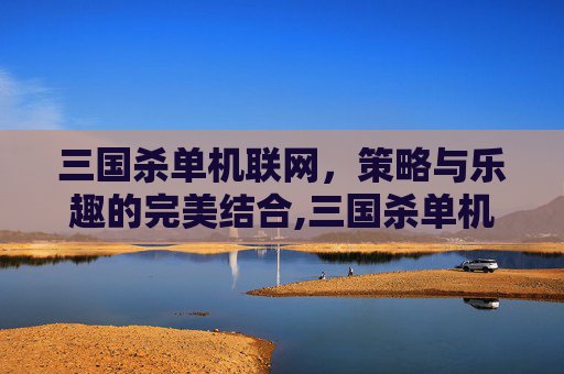 三国杀单机联网，策略与乐趣的完美结合,三国杀单机联机