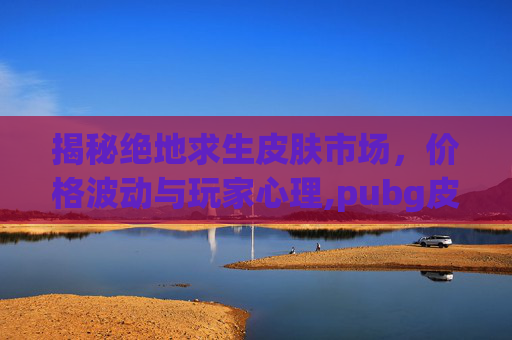 揭秘绝地求生皮肤市场，价格波动与玩家心理,pubg皮肤多少钱