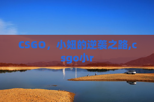 CSGO，小妞的逆袭之路,csgo小r