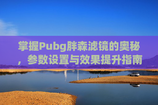 掌握Pubg胖森滤镜的奥秘，参数设置与效果提升指南,绝地求生lyg胖森教练