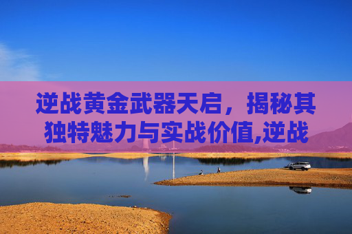 逆战黄金武器天启，揭秘其独特魅力与实战价值,逆战黄金武器天启多少钱