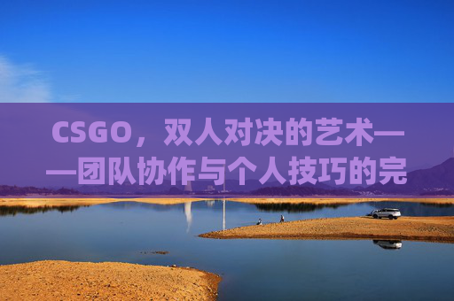 CSGO，双人对决的艺术——团队协作与个人技巧的完美融合,csgo两人对枪图