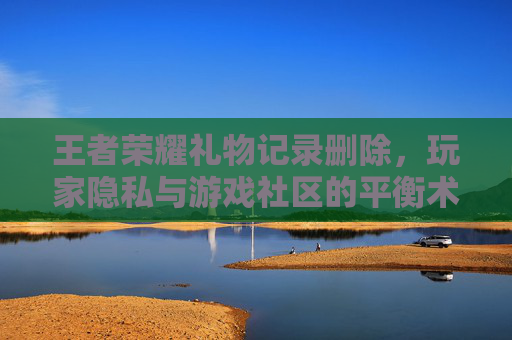 王者荣耀礼物记录删除，玩家隐私与游戏社区的平衡术,王者荣耀礼物记录删除怎么找回