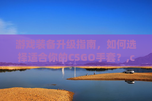 游戏装备升级指南，如何选择适合你的CSGO手套？,csgo800左右的手套