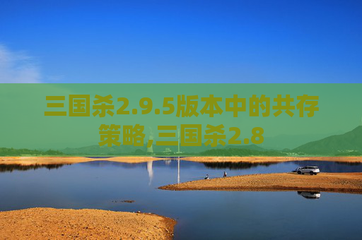 三国杀2.9.5版本中的共存策略,三国杀2.8