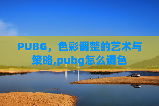 PUBG，色彩调整的艺术与策略,pubg怎么调色