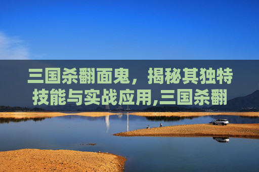 三国杀翻面鬼，揭秘其独特技能与实战应用,三国杀翻面鬼打武诸葛