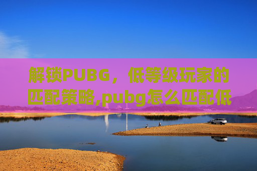解锁PUBG，低等级玩家的匹配策略,pubg怎么匹配低端局