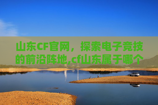 山东CF官网，探索电子竞技的前沿阵地,cf山东属于哪个大区