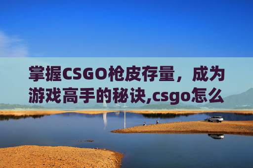掌握CSGO枪皮存量，成为游戏高手的秘诀,csgo怎么看枪皮