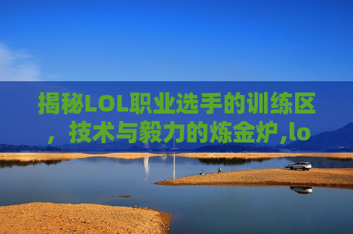 揭秘LOL职业选手的训练区，技术与毅力的炼金炉,lol职业选手训练区在哪