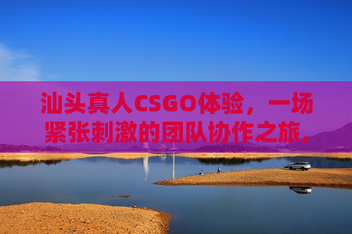 汕头真人CSGO体验，一场紧张刺激的团队协作之旅,CS真人