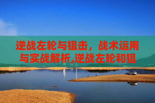 逆战左轮与狙击，战术运用与实战解析,逆战左轮和狙击哪个厉害