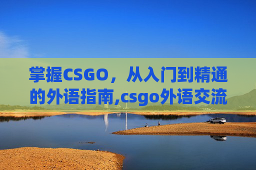 掌握CSGO，从入门到精通的外语指南,csgo外语交流