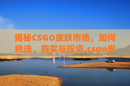 揭秘CSGO皮肤市场，如何挑选、购买与投资,csgo皮肤图案模板查询