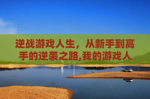 逆战游戏人生，从新手到高手的逆袭之路,我的游戏人生2