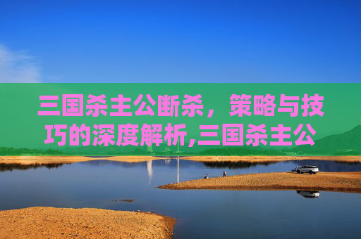 三国杀主公断杀，策略与技巧的深度解析,三国杀主公断杀多少钱