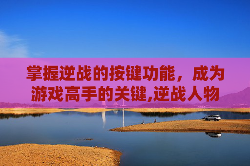 掌握逆战的按键功能，成为游戏高手的关键,逆战人物技能怎么改键位