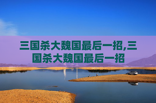三国杀大魏国最后一招,三国杀大魏国最后一招