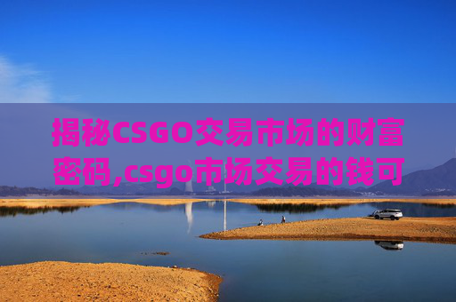 揭秘CSGO交易市场的财富密码,csgo市场交易的钱可以提吗