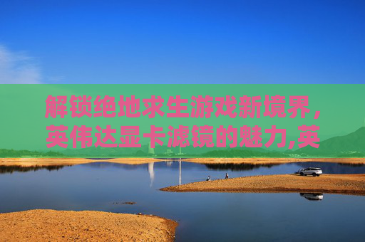 解锁绝地求生游戏新境界，英伟达显卡滤镜的魅力,英伟达游戏滤镜