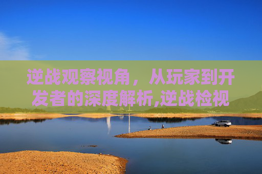 逆战观察视角，从玩家到开发者的深度解析,逆战检视