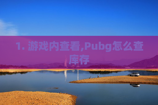 1. 游戏内查看,Pubg怎么查库存