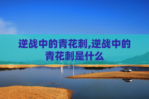 逆战中的青花刺,逆战中的青花刺是什么