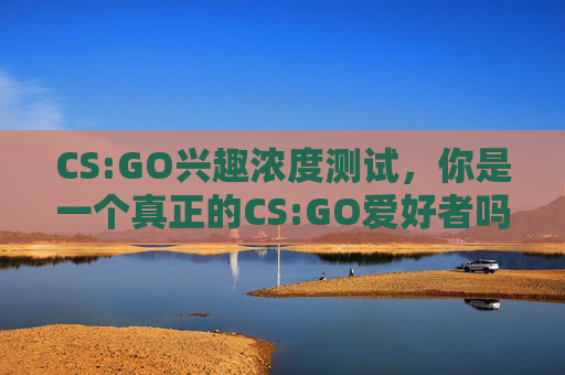 CS:GO兴趣浓度测试，你是一个真正的CS:GO爱好者吗？