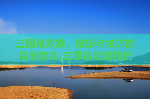 三国杀双拳，策略与技巧的完美融合,三国杀双武将玩法