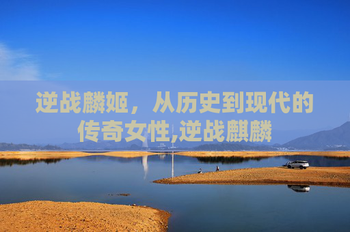 逆战麟姬，从历史到现代的传奇女性,逆战麒麟