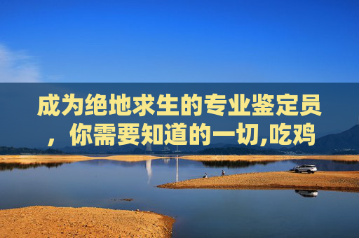 成为绝地求生的专业鉴定员，你需要知道的一切,吃鸡鉴定室什么词条最好