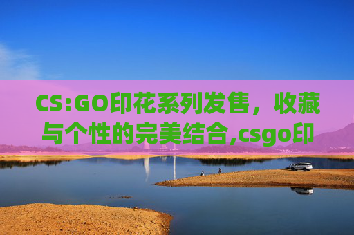 CS:GO印花系列发售，收藏与个性的完美结合,csgo印花价格查询